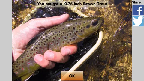Capa de Fly Fishing Simulator HD